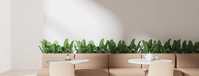 Bancs