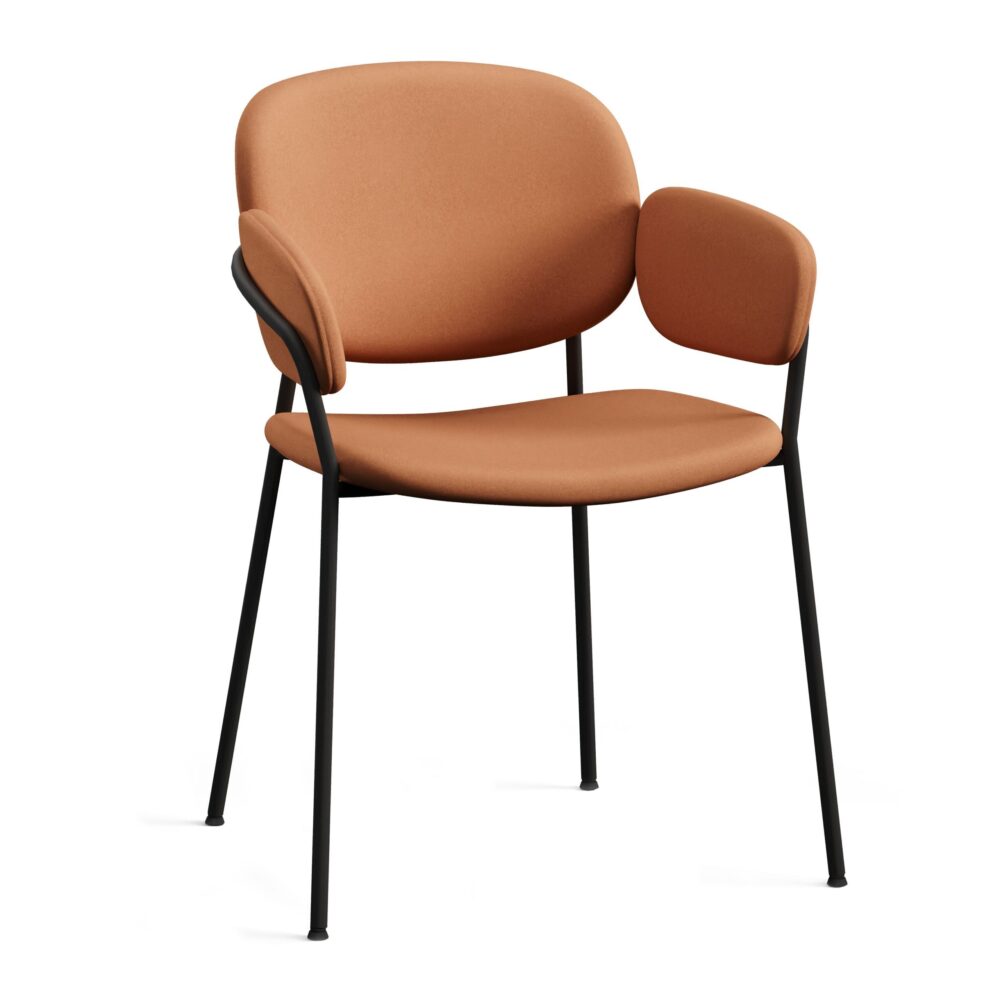 Fameg Designer Restauration Chaise | Riso avec accoudoirs | Premium